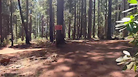 Shimmer Run