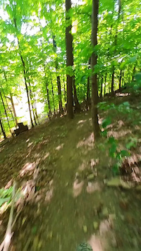 Lip Out from Par 2