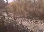 Must Watch Video