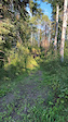 Pasquia Regional Park Trail