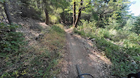 Downieville slam