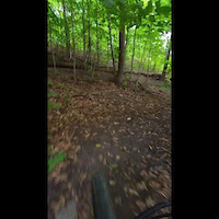 Bump Back