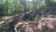 The Dirt Dauber gap