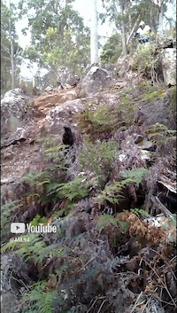 Must Watch Video