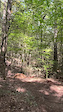 1st jump on trail.