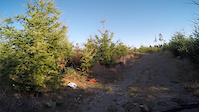 Tour De Stump