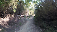 Finale Outdoor Region – Trail: Pino Morto (a...