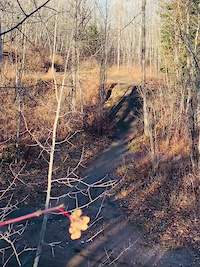 Sigaleps MTB Steup and Drop Off