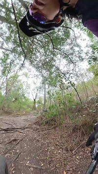 Indigenous Traverse