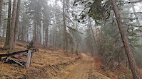 Road Gap