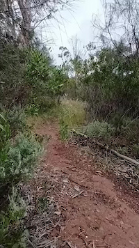 bit of a shred at gh dh
