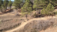 Top of Trail
