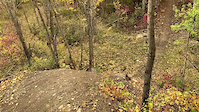 Step Up