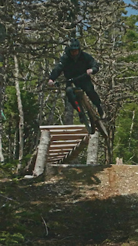 Fresh Cuts - Mark Noftall