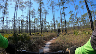 Sunday Trail
