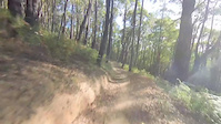 Must Watch Video