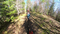 Skunky Rooster POV