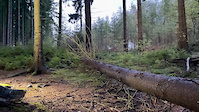 Log jump