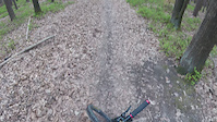 Trail: KH Downhill
