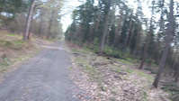 Trail: Wilde Hilde