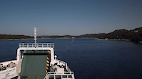 Must Watch Video