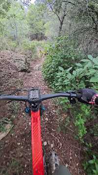 Coll de l’Abellà - directa al