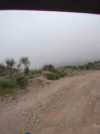 Pre-View to Thyme