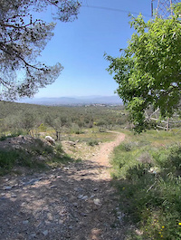 Hawk’s Nest