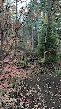 Creek Gap