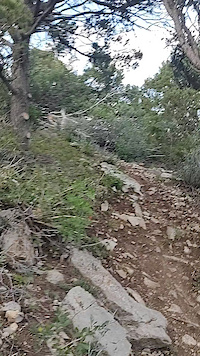 DH all mtn