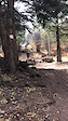 DH riding