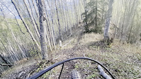 Birch Run