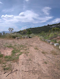 Thea / View Enduro 1 easy does it