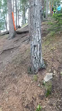 Must Watch Video