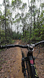 Italy, Mui Wo Trail Preview for Trailforks