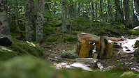 Teeter totter