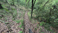 La tía trail