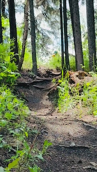 Session with Local riders