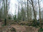 Must Watch Video