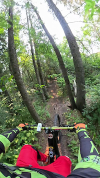 Trees Down