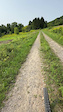 Down the road