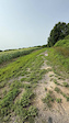 Through the field