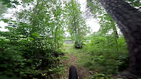 Svartuddens Express