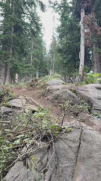 Rock Chuck drop