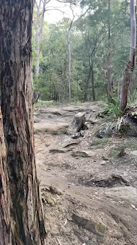 Must Watch Video