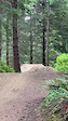 Mohawk crash