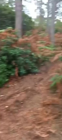 Must Watch Video