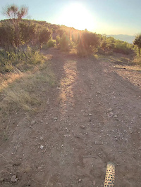 Last Trail