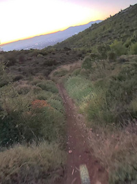 Thyme - Part 1 - sunset