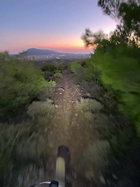 Thyme - Part 2  Sunset
